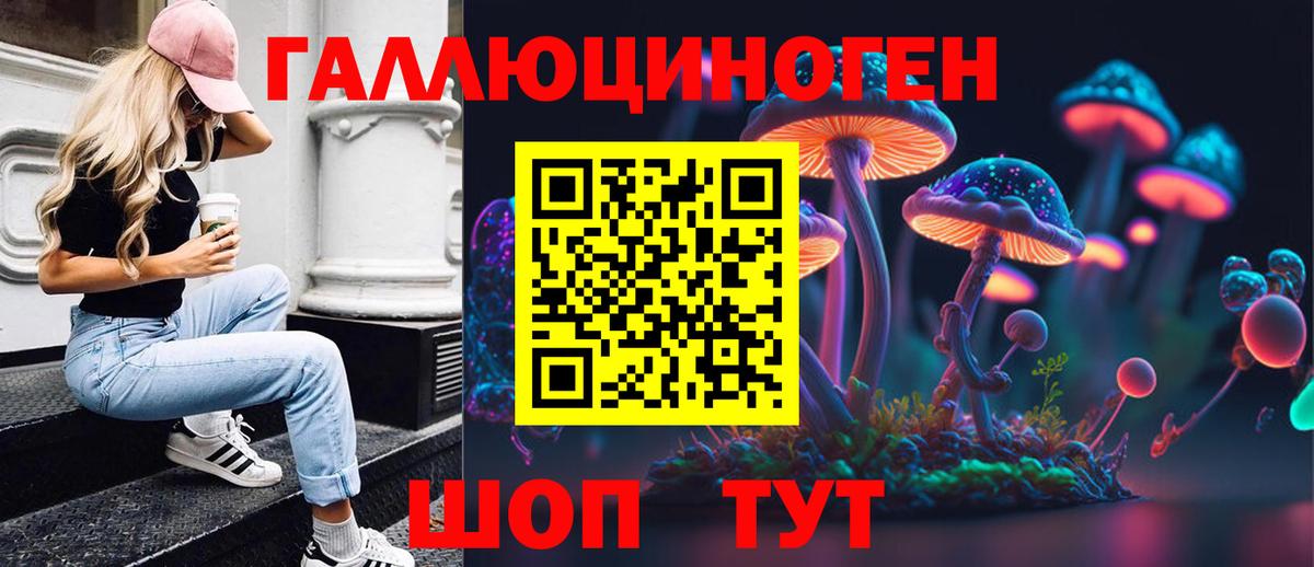 Галлюциногенные грибы MAGIC MUSHROOMS  Вход с VPN  Карасук 